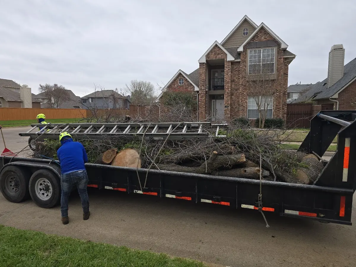 Expert Tree Removal with proper safety equipment in Oliveburg